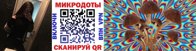 Псилоцибиновые грибы мухоморы Туринск