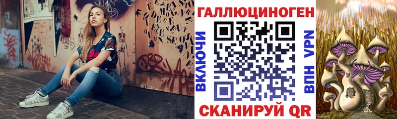 Псилоцибиновые грибы мухоморы  omg маркетплейс  Туринск 